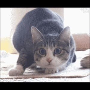 Meet your Posher, Nataly